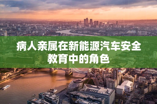 病人亲属在新能源汽车安全教育中的角色
