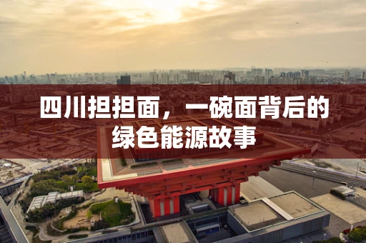 四川担担面，一碗面背后的绿色能源故事