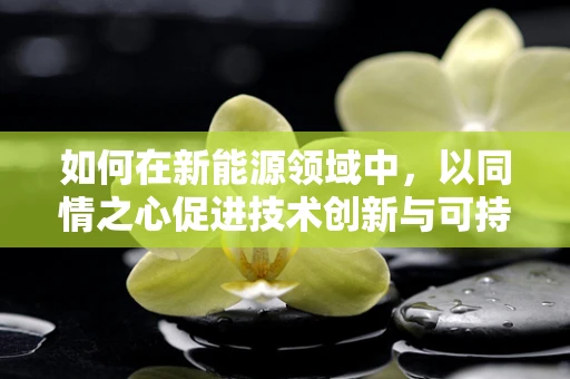 如何在新能源领域中，以同情之心促进技术创新与可持续发展？