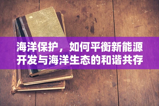 海洋保护，如何平衡新能源开发与海洋生态的和谐共存？