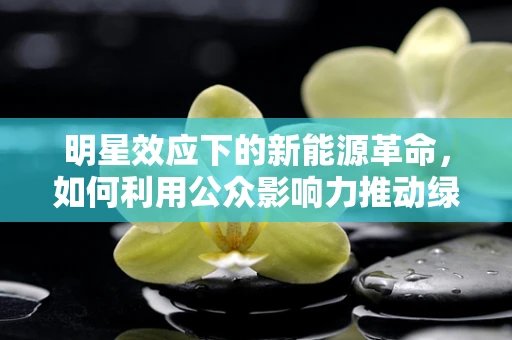 明星效应下的新能源革命，如何利用公众影响力推动绿色出行？
