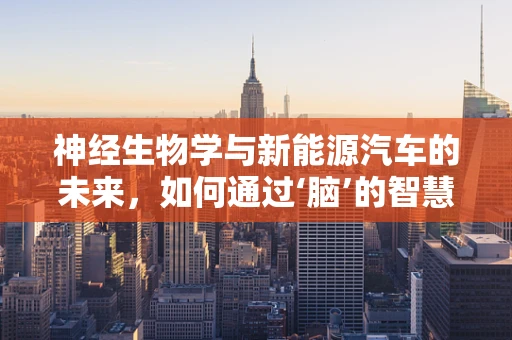 神经生物学与新能源汽车的未来，如何通过‘脑’的智慧优化驾驶体验？