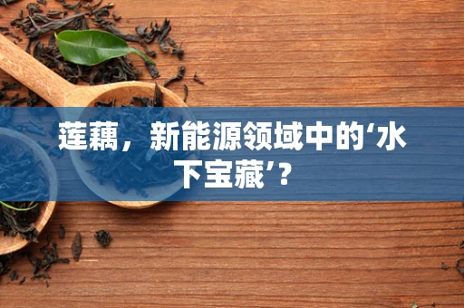 莲藕，新能源领域中的‘水下宝藏’？
