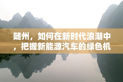 随州，如何在新时代浪潮中，把握新能源汽车的绿色机遇？