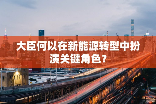 大臣何以在新能源转型中扮演关键角色？