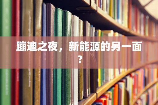 蹦迪之夜，新能源的另一面？