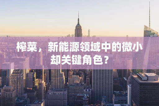 榨菜，新能源领域中的微小却关键角色？