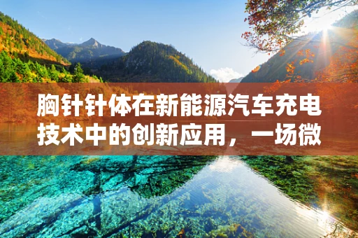 胸针针体在新能源汽车充电技术中的创新应用，一场微小部件的革命？