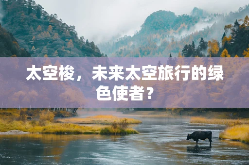 太空梭，未来太空旅行的绿色使者？