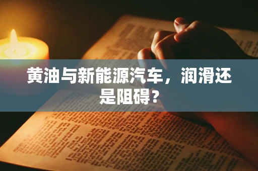 黄油与新能源汽车，润滑还是阻碍？