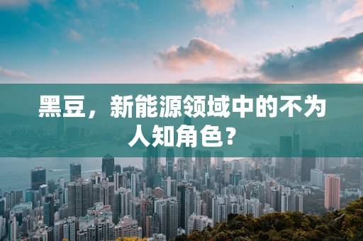 黑豆，新能源领域中的不为人知角色？