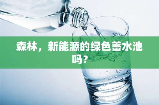 森林，新能源的绿色蓄水池吗？