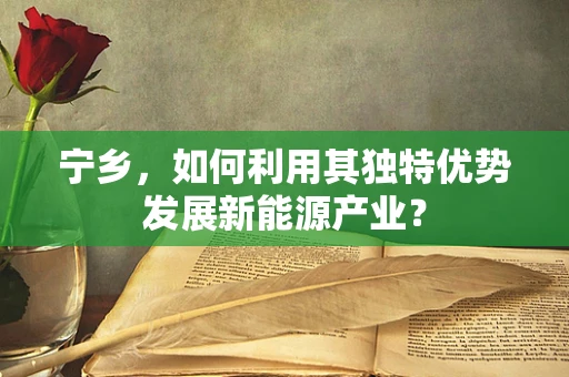 宁乡，如何利用其独特优势发展新能源产业？