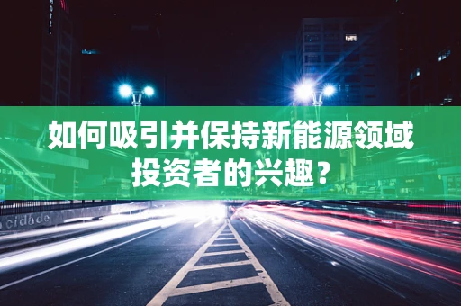 如何吸引并保持新能源领域投资者的兴趣？