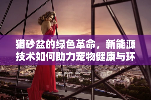 猫砂盆的绿色革命，新能源技术如何助力宠物健康与环保？