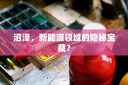 沼泽，新能源领域的隐秘宝藏？