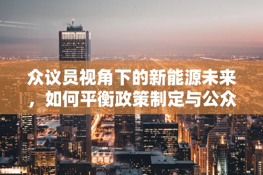 众议员视角下的新能源未来，如何平衡政策制定与公众期待？