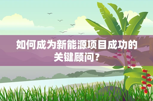 如何成为新能源项目成功的关键顾问？