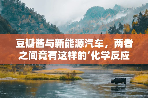 豆瓣酱与新能源汽车，两者之间竟有这样的‘化学反应’？