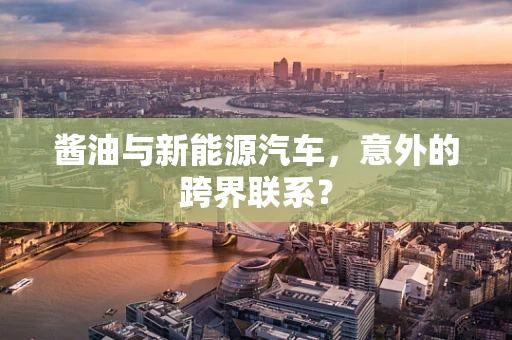 酱油与新能源汽车，意外的跨界联系？