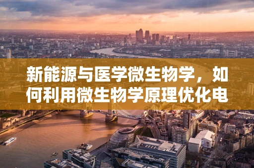新能源与医学微生物学，如何利用微生物学原理优化电池存储？