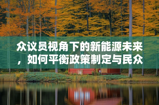 众议员视角下的新能源未来，如何平衡政策制定与民众参与？