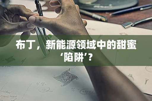 布丁，新能源领域中的甜蜜‘陷阱’？