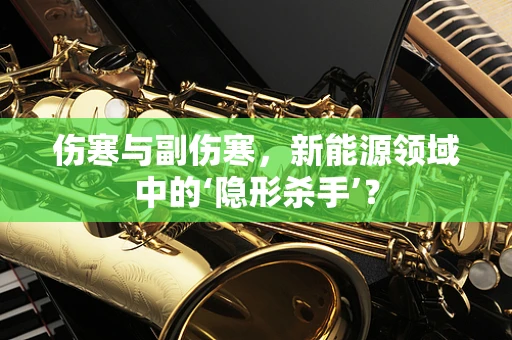 伤寒与副伤寒，新能源领域中的‘隐形杀手’？