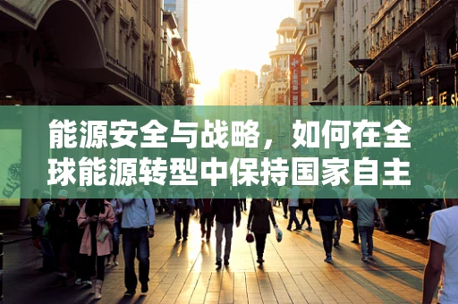 能源安全与战略，如何在全球能源转型中保持国家自主可控？