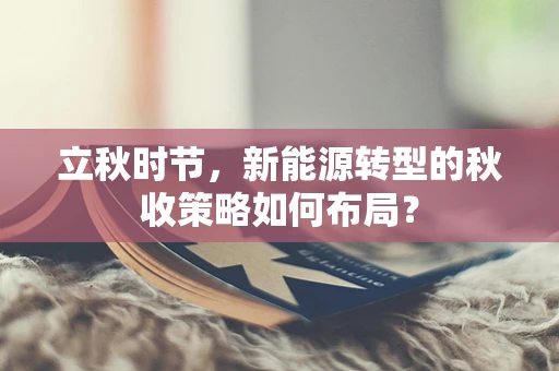 立秋时节，新能源转型的秋收策略如何布局？