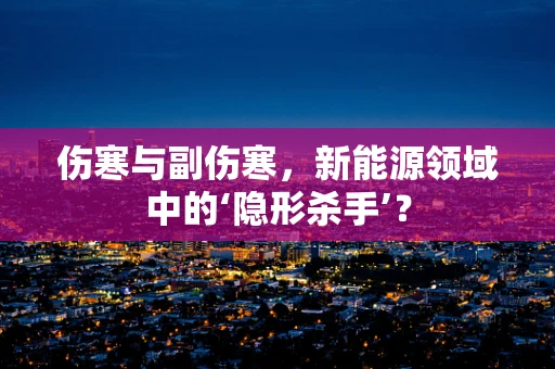 伤寒与副伤寒，新能源领域中的‘隐形杀手’？