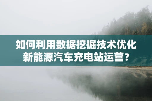 如何利用数据挖掘技术优化新能源汽车充电站运营？