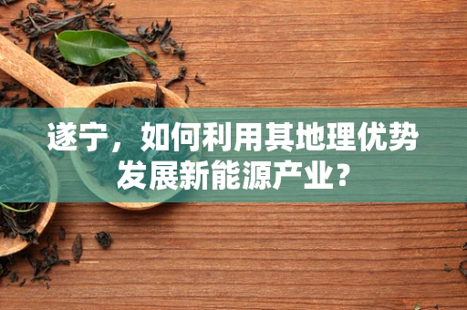 遂宁，如何利用其地理优势发展新能源产业？