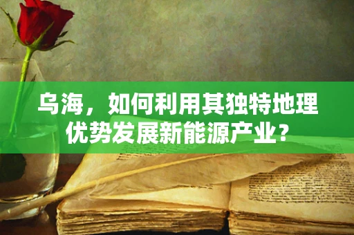 乌海，如何利用其独特地理优势发展新能源产业？