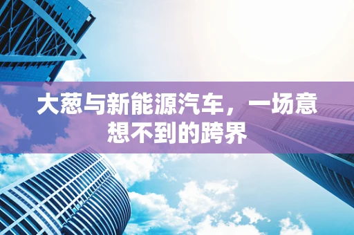 大葱与新能源汽车，一场意想不到的跨界