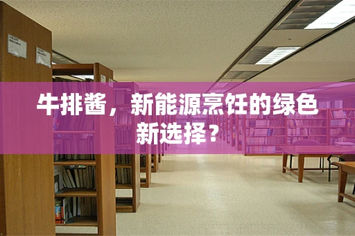 牛排酱，新能源烹饪的绿色新选择？