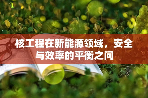 核工程在新能源领域，安全与效率的平衡之问