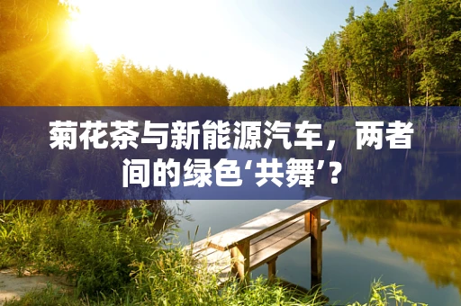 菊花茶与新能源汽车，两者间的绿色‘共舞’？