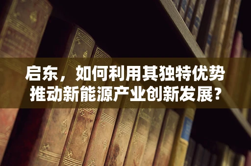 启东，如何利用其独特优势推动新能源产业创新发展？