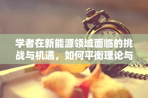学者在新能源领域面临的挑战与机遇，如何平衡理论与实践？