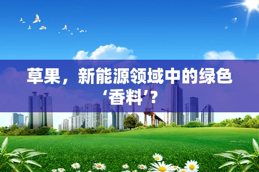 草果，新能源领域中的绿色‘香料’？