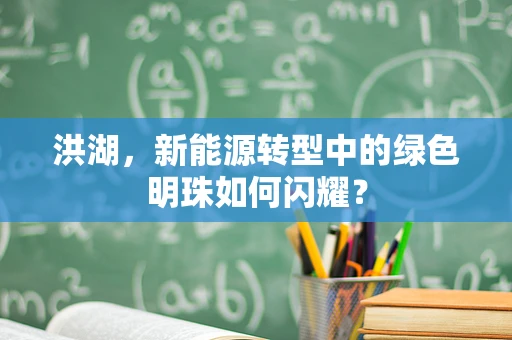 洪湖，新能源转型中的绿色明珠如何闪耀？