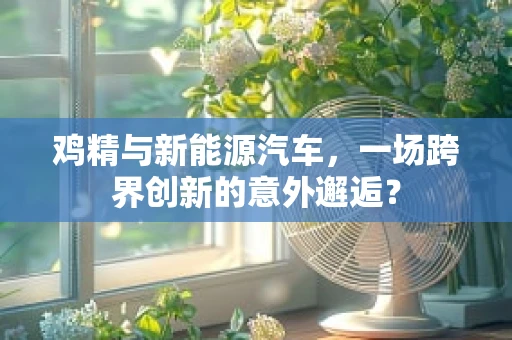 鸡精与新能源汽车，一场跨界创新的意外邂逅？