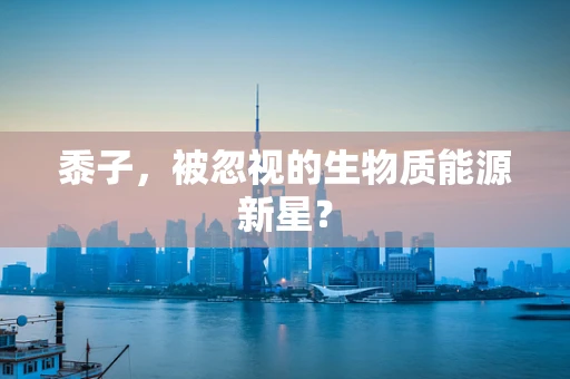黍子，被忽视的生物质能源新星？