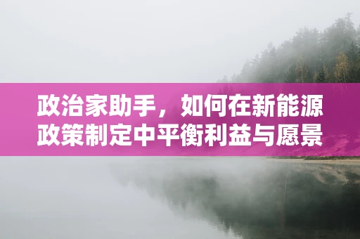 政治家助手，如何在新能源政策制定中平衡利益与愿景？