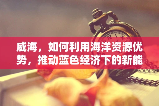 威海，如何利用海洋资源优势，推动蓝色经济下的新能源发展？