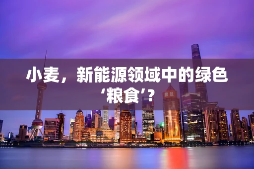 小麦，新能源领域中的绿色‘粮食’？