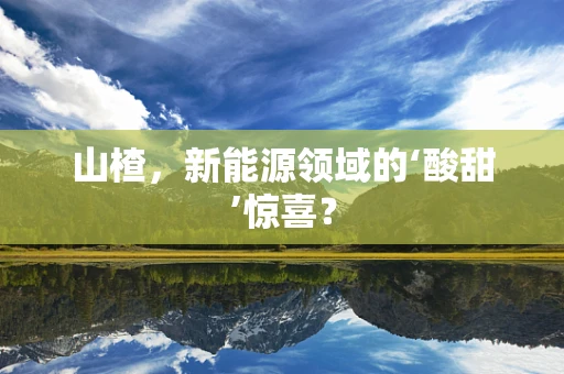 山楂，新能源领域的‘酸甜’惊喜？