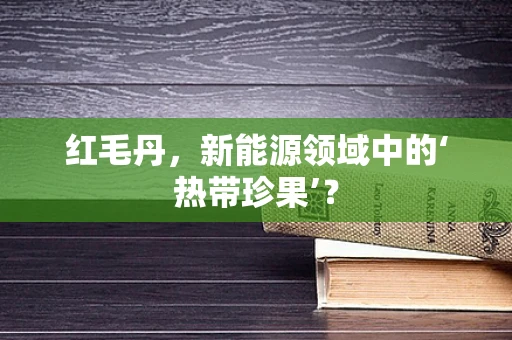 红毛丹，新能源领域中的‘热带珍果’？