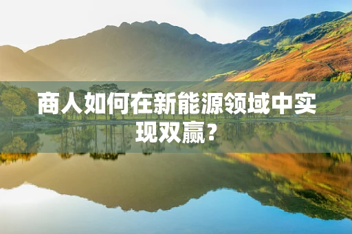 商人如何在新能源领域中实现双赢？